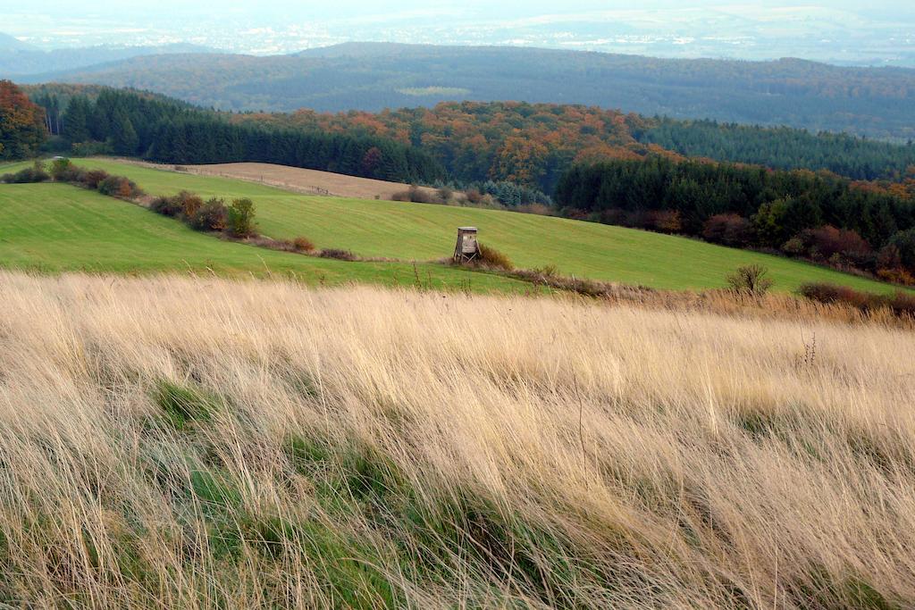 Gaestehaus Am Raeuschenberg Гекстер Екстер'єр фото